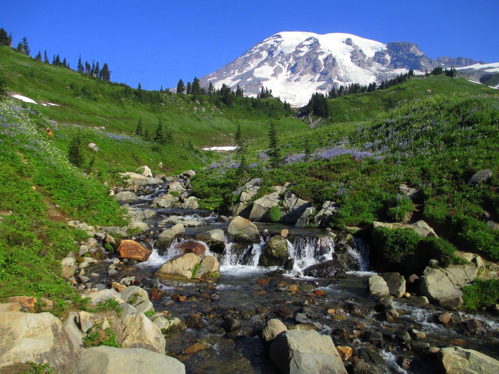 Mount Rainier Above Myrtle Falls